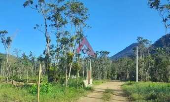 Imagem 5: UBATUBA - Terreno Padrão - Itamambuca