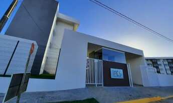 Imagem: Ipês - Reserva do Trapuá - Carpina - PE