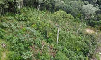 Imagem 7: Terreno Rural a Venda em São Pedro de Alcântara