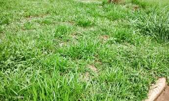 Imagem 5: AREA PARA CONSTRUÇÃO DE PREDIO 6 ANDARES BONFIM PAULISTA