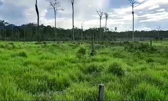 Imagem: Fazenda com 220 hectares em Rorainópolis