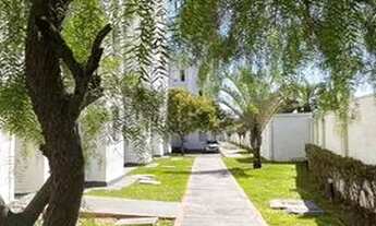 Imagem 3: Apartamento para alugar no bairro Afonso Pena - São José dos Pinhais/PR