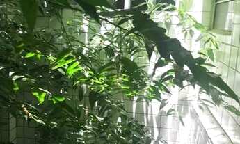 Imagem 6: Vendo ou alugo,Cidade Alta, Prédio próx. Igreja do galo