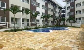 Imagem 3: Ipês - Reserva do Trapuá - Carpina - PE