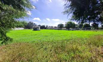 Imagem 5: BORDA DO CAMPO PIRAQUARA COM VISTA PARA SERRA