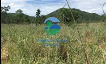 Imagem 7: Fazenda para criar gado com preço bom