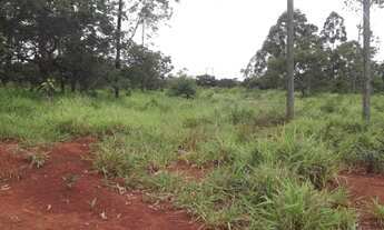 Imagem 6: Linda fazendinha de 135.000 m², Jaboticatubas (Temos varias opções)