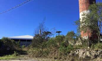 Imagem 6: Terreno no bairro Floresta em Gramado