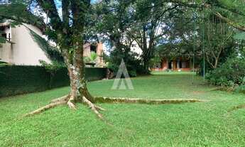 Imagem: JOINVILLE - Terreno Padrão - Glória