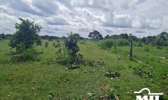 Imagem 5: Fazenda 94 alqueires (459 hectares)- Araguaçu-TO ( prazo