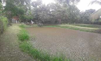 Imagem 4: Vendo lindo sítio com 5.570m², no coração de São Vicente Ferrér