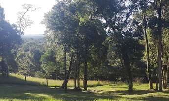 Imagem 3: Oportunidade terreno urbano, 100% escriturado , próximo do centro de Campo Alegre, localiz