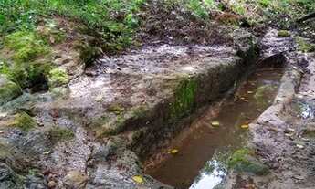 Imagem 4: SITIO NO TREVO DE POLONI INIGUALÁVEL NA REGIÃO 24,5 ALQ