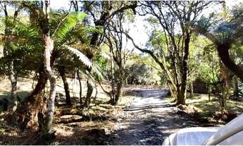 Imagem 6: Terreno com Cabana em Urubici!