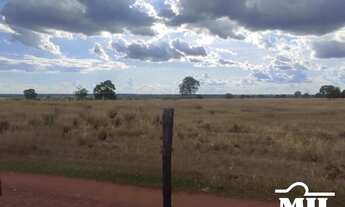 Imagem 7: Arrendamento Agrícola em Nova Crixas-GO (726 Há