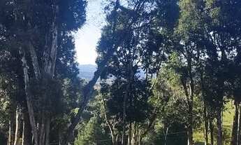 Imagem 2: Oportunidade terreno urbano, 100% escriturado , próximo do centro de Campo Alegre, localiz