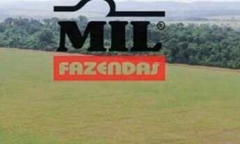 Imagem 4: 82 Alq. (397 Há). Terra Cultura c/ Soja e Pasto. 50 km de Goiânia