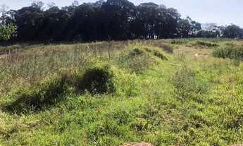 Imagem: Lote/Terreno para venda possui 600 metros