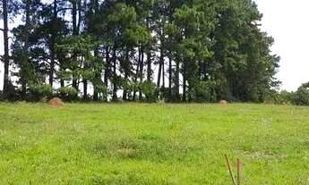 Imagem 1: Lote/Terreno para venda possui 500 metros quadrados em Jardim Colonial - Atibaia - SP