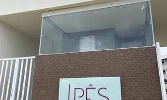 Imagem 2: Ipês - Reserva do Trapuá - Carpina - PE