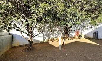 Imagem 5: São Paulo - Casa Padrão - MORUMBI