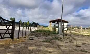 Imagem 7: MM- Fazenda/Sítio/Chácara