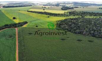Imagem: Fazenda no Município de Vianópolis - GO