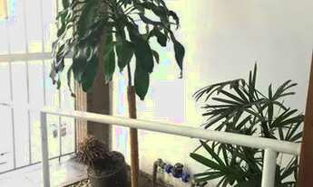 Imagem 2: Vem pra ca e morar aqui