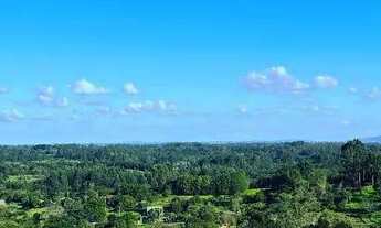 Imagem 4: Sítio de 4.690 metros com visão panorâmica da região, apenas 2 km do asfalto