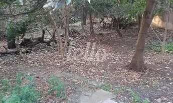 Imagem 3: São Paulo - Terreno Padrão - Vila Prudente