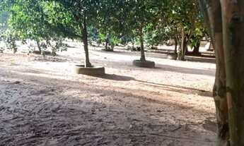 Imagem 2: Sito águas claras