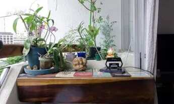 Imagem 4: Apartamento para Aluguel - Vila Pompéia, 2 Quartos, 65 m2