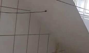 Imagem 5: Aluga casa Casa com 2 dormitórios