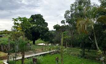 Imagem 3: Excelente chácara para vender!!