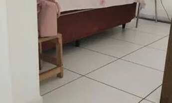 Imagem 5: Encantos do norte