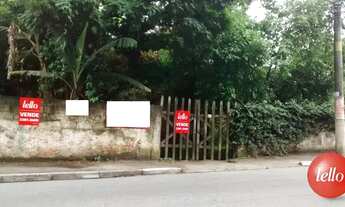 Imagem 2: São Paulo - Terreno Padrão - Tremembé