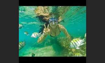 Imagem 7: Maragogi - Praia de Antunes