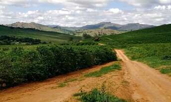 Imagem 2: Fazenda de Café em Guapé MG - Dim