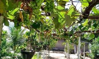 Imagem: Casa com 2 dormitórios à venda, 280 m²