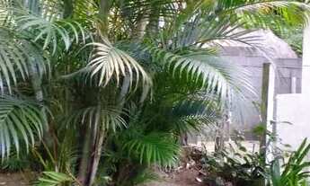 Imagem 2: Casa de 2 quartos com quintal no Quitandinha