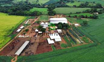 Imagem 7: Fazenda no Município de Vianópolis - GO