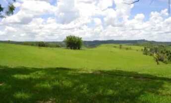 Imagem 7: Entre Alambari e Itapetininga <br>149 alqueires