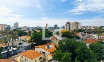 Imagem 6: Apartamento à Venda - Vila Campestre, 3 Quartos, 105 m2