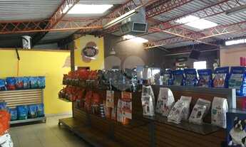 Imagem 6: Comercial otima localização