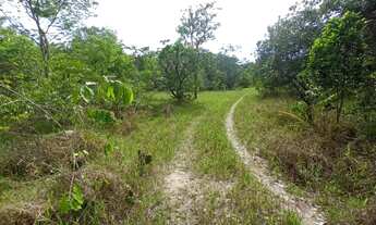 Imagem 3: Terra pelo crédito fundiário