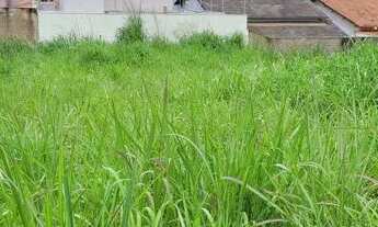 Imagem 2: Vendo Lote Setor Jamil Miguel