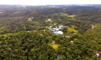 Imagem 7: Terreno à venda, 11000 m² por R$ 450.000,00 - Área Rural de São José dos Pinhais - São Jos