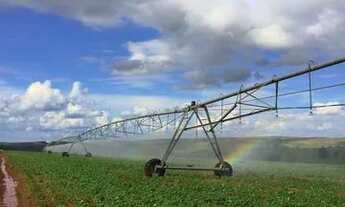 Imagem 2: Fazenda Florestópolis 425 Alqueiro 2 mil saca de soja por alqueiro