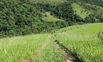 Imagem 7: Vendo terreno com vista para natureza