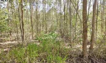 Imagem 7: Sítio em Rafard próximo do Pesqueiro Bresiane